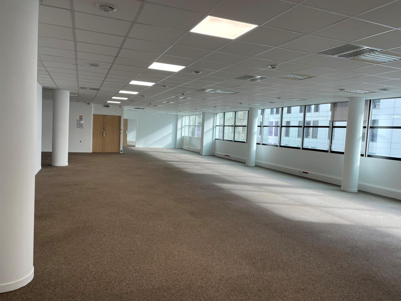 Bureau Lyon 1333m² Location bureau Lyon Rhône OLBUR2309478 7